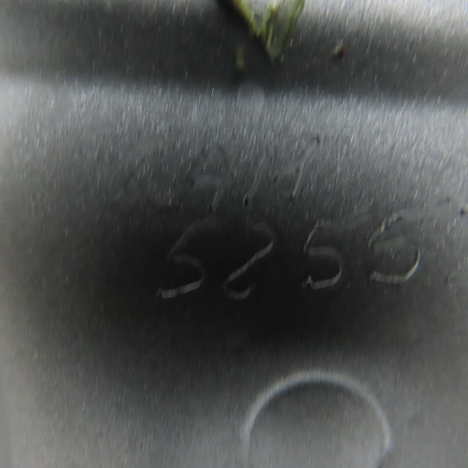 Porte arrière gauche occasion NISSAN QASHQAI I Phase 1 01-2007->09-2010 1.5 DCI 106ch H2101JD0MC 3