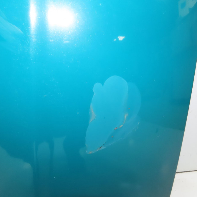 Capot occasion SEAT IBIZA II Phase 2 05-1996->09-1999 SDI 3