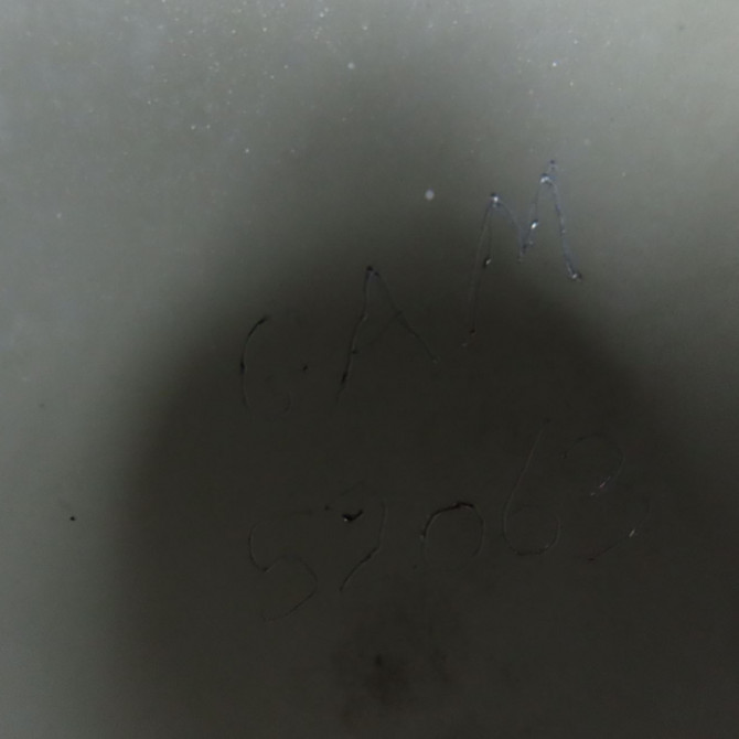 Aile avant droite occasion FORD CMAX I Phase 1 09-2003->03-2007 1.8 TDCI 115ch 1474083 4