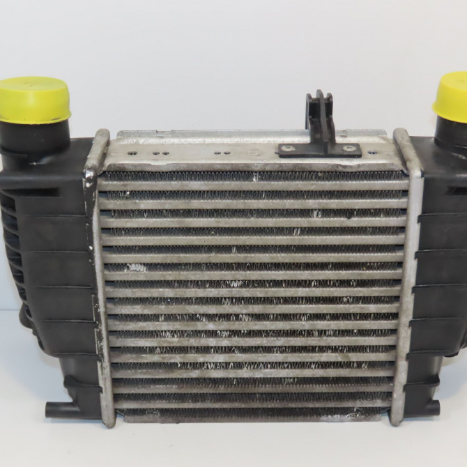 Echangeur air occasion NISSAN JUKE Phase 1 09-2010->... 1.5 DCI 110ch 14461EM00A 1