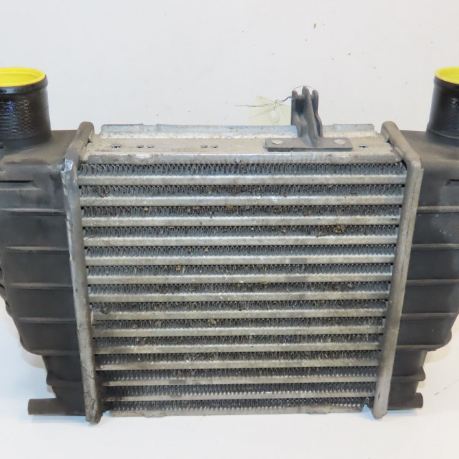 Echangeur air occasion NISSAN JUKE Phase 1 09-2010->... 1.5 DCI 110ch 14461EM00A 1