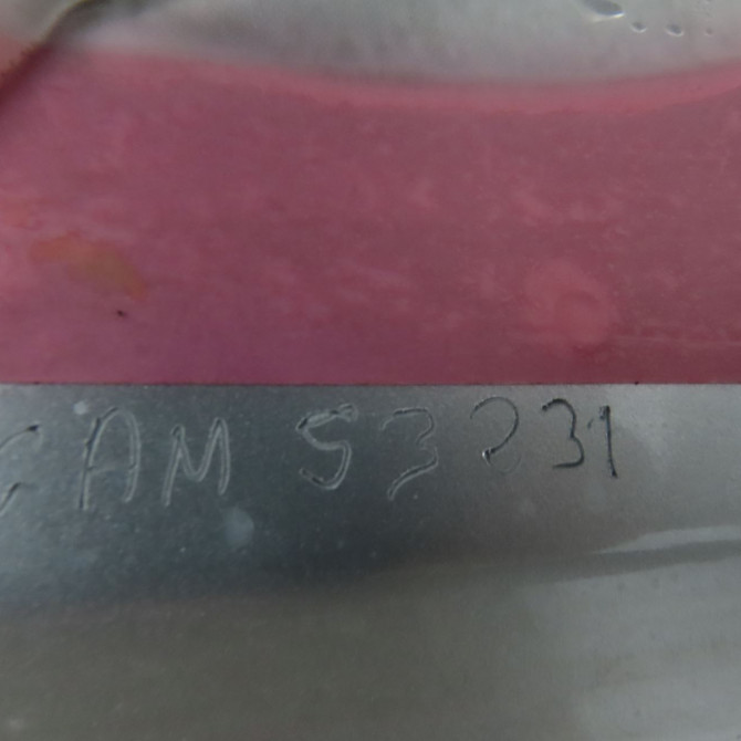 Porte arrière droite occasion OPEL ASTRA II Phase 1 04-1998->09-2004 1.6i 16v 100ch 9132036 5