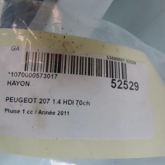 Hayon occasion PEUGEOT 207 Phase 1 04-2006->06-2013 1.4 HDI 70ch 8701CS 5