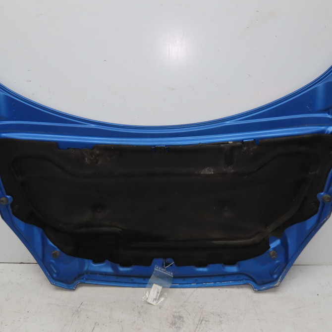 Capot occasion PEUGEOT 307 Phase 1 04-2001->06-2005 2.0 HDI 90ch 7901J0 2