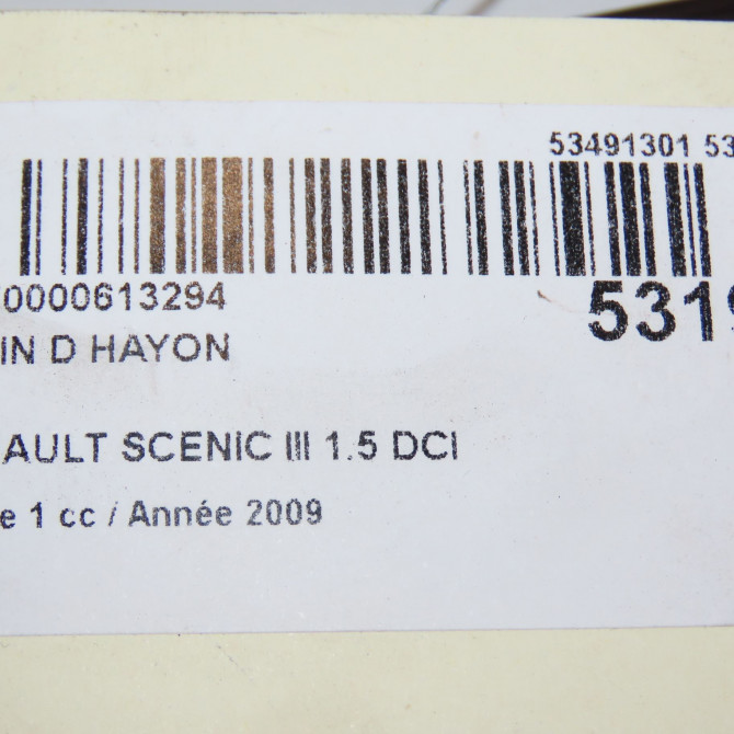 Verin droit hayon occasion RENAULT SCENIC III Phase 1 04-2009->11-2011 1.5 DCI 105ch 904500004R 5