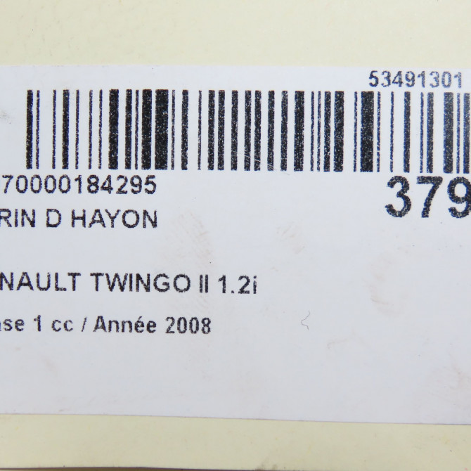 Verin droit hayon occasion RENAULT TWINGO II Phase 1 06-2007->11-2011 1.2i 60ch 8200385560 4