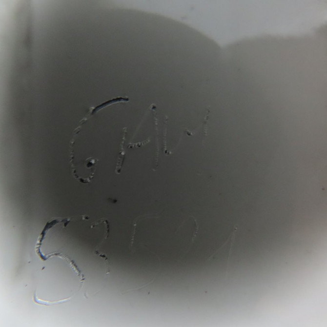 Porte arrière gauche occasion TOYOTA RAV4 I Phase 1 04-1995->04-1999 2.0 GX 129ch 6700442020 3