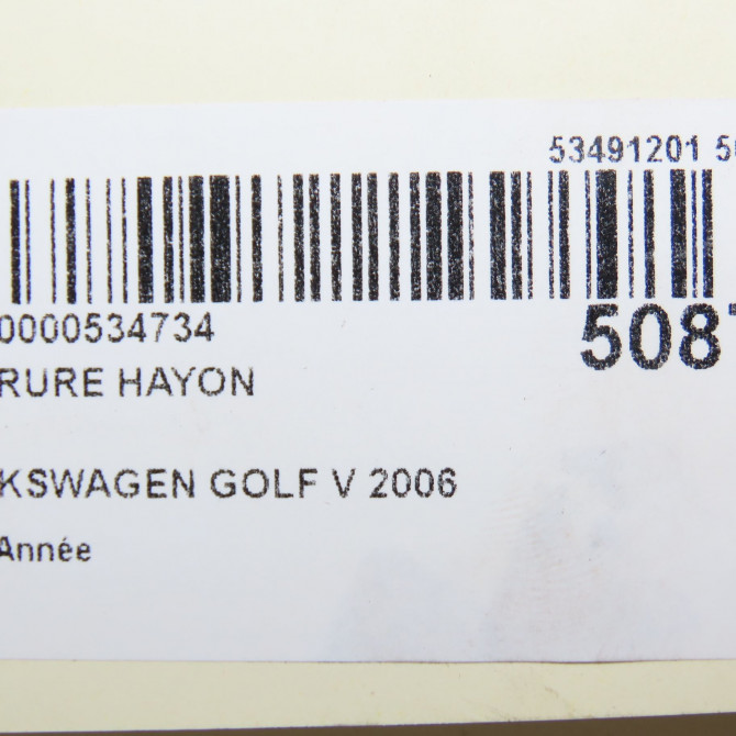 Serrure hayon occasion VOLKSWAGEN GOLF V 5M0827505H9B9 5