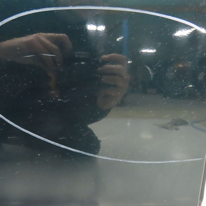 Porte avant droite occasion B.M.W. SERIE 5 IV Phase 1 12-1995->07-2000 41518216818 5