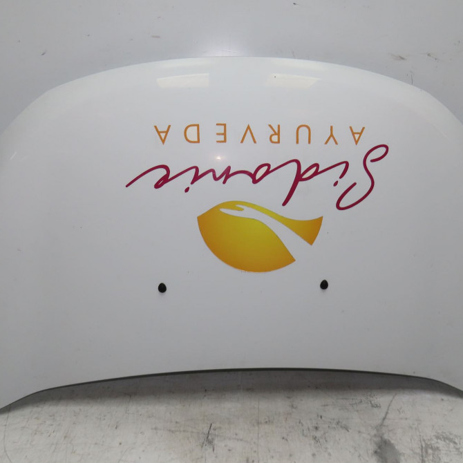 Capot occasion DACIA LODGY Phase 1 01-2012->... 651007793R 1