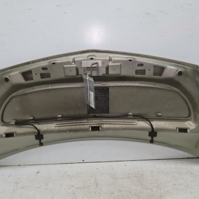 Capot occasion RENAULT KANGOO II Phase 1 01-2008->03-2013 1.5 DCI 105ch 651003220R 2