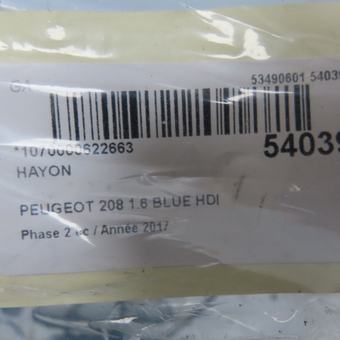 Hayon occasion PEUGEOT 208 Phase 2 04-2015->... 1.6 BLUE HDI 75ch 9811036380 5