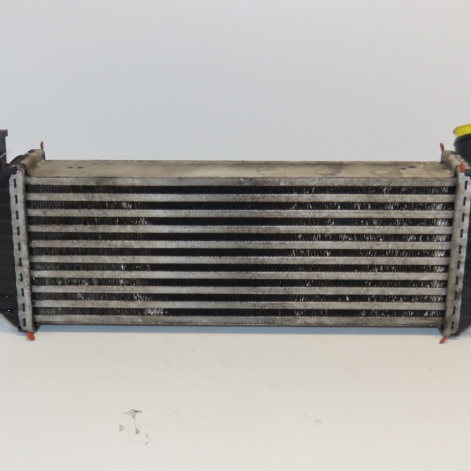 Echangeur air occasion RENAULT KANGOO II Phase 1 01-2008->03-2013 1.5 DCI 105ch 8200382109 1