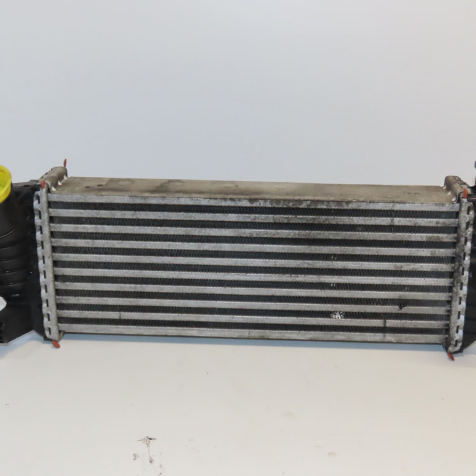 Echangeur air occasion RENAULT KANGOO II Phase 1 01-2008->03-2013 1.5 DCI 105ch 8200382109 2