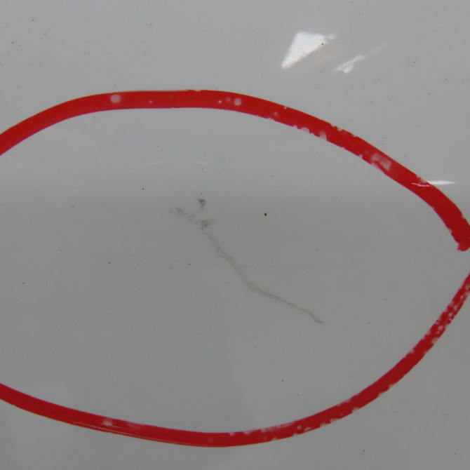 Porte arrière gauche occasion DACIA DUSTER Phase 2 09-2013->... 1.6i 115ch 821014570R 4