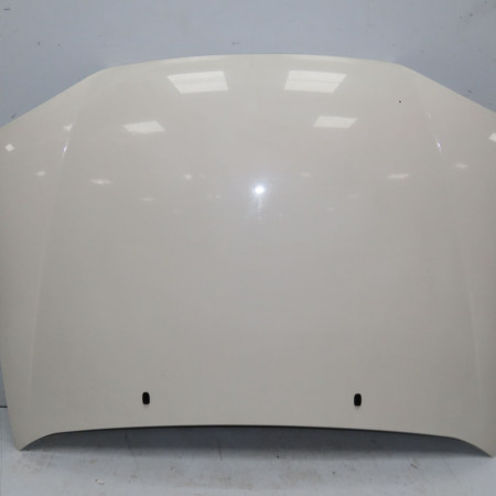 Capot occasion FORD COURRIER IV Phase 1 04-1995->04-1999 1.8 D 60ch 1098820