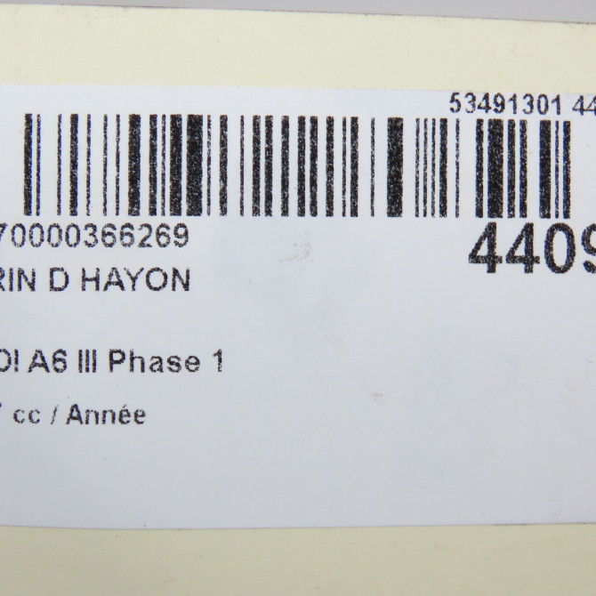 Verin droit hayon occasion AUDI A6 III Phase 1 05-2004->10-2008 3.0 V6 233ch 4F9827552J 3