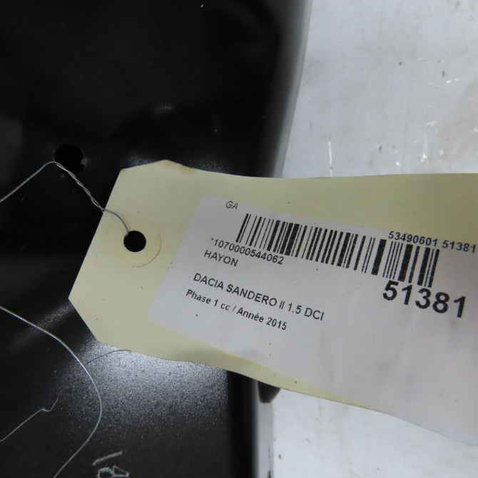 Hayon occasion DACIA SANDERO II Phase 1 10-2012->... 1.5 DCI 90ch 901003145R 5