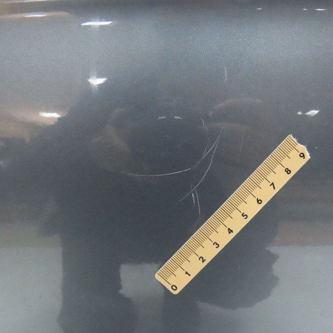 Porte arrière droite occasion CITROEN C3 II Phase 1 11-2009->02-2013 1.4 HDi 9004CJ 4