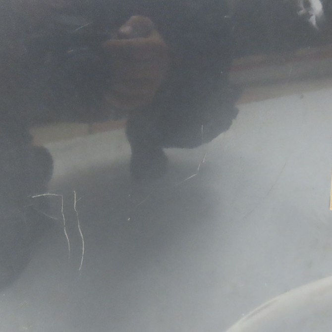 Porte arrière droite occasion CITROEN C3 II Phase 1 11-2009->02-2013 1.4 HDi 9004CJ 5