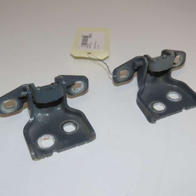 Tirant porte avg occasion DACIA DUSTER II Phase 1 10-2017->... 804302559R 1