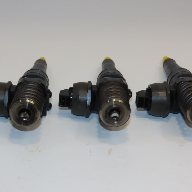Ensemble injecteurs occasion VOLKSWAGEN POLO IV Phase 2 05-2005->09-2009 1.4 TDI 70ch 38130079TX 2
