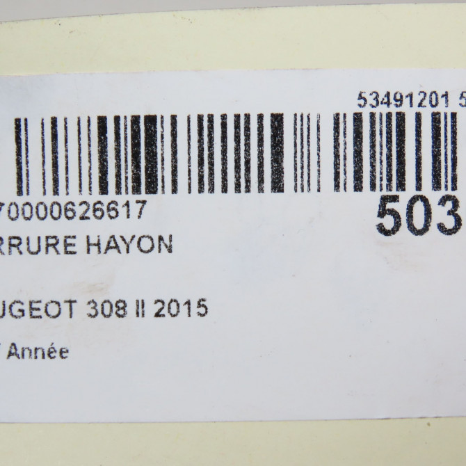 Serrure hayon occasion 5