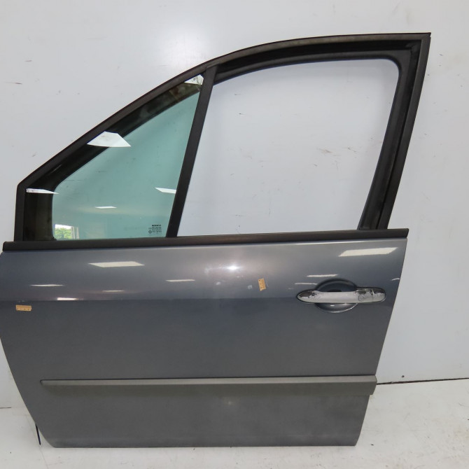 Porte avant gauche occasion RENAULT SCENIC II Phase 1 03-2004->09-2006 2.0 DCI 150ch 801015506R 1