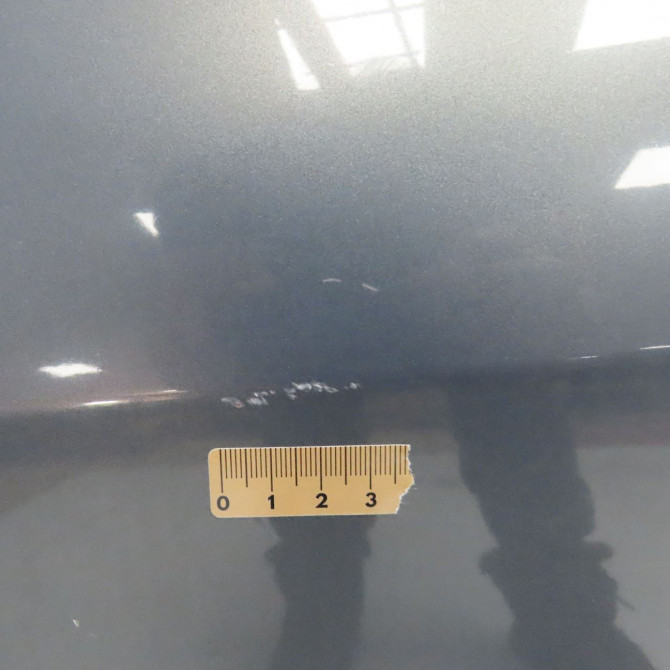 Porte avant gauche occasion RENAULT SCENIC II Phase 1 03-2004->09-2006 2.0 DCI 150ch 801015506R 3