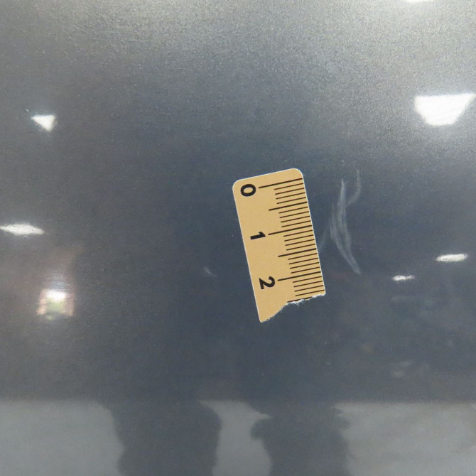 Porte avant gauche occasion RENAULT SCENIC II Phase 1 03-2004->09-2006 2.0 DCI 150ch 801015506R 5