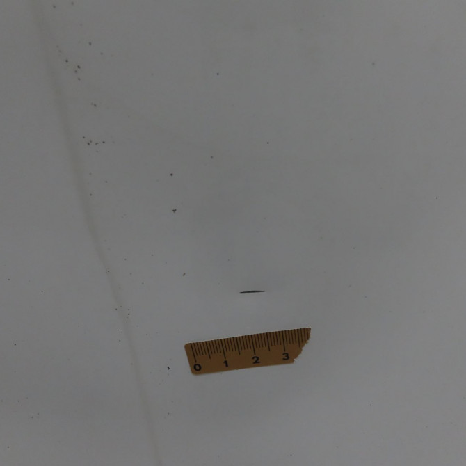 Porte avant droite occasion FIAT DUCATO III Phase 1 06-2006->10-2014 46862839 6