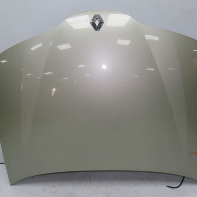 Capot occasion  7751471641 1