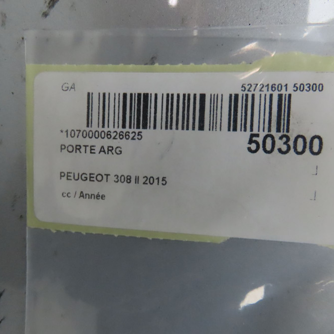 Porte arrière gauche occasion 6