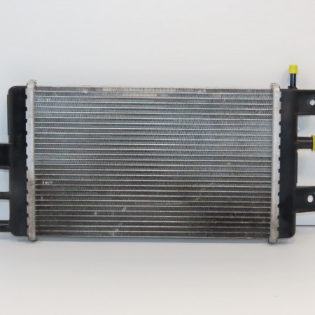 Radiateur occasion  214109411R