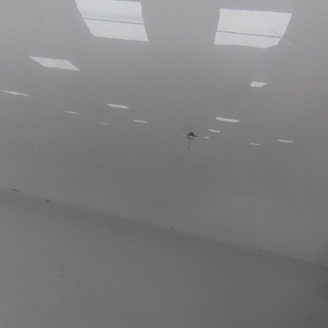 Porte avant gauche occasion SEAT LEON II Phase 2 05-2009->09-2012 1P0831055A 6