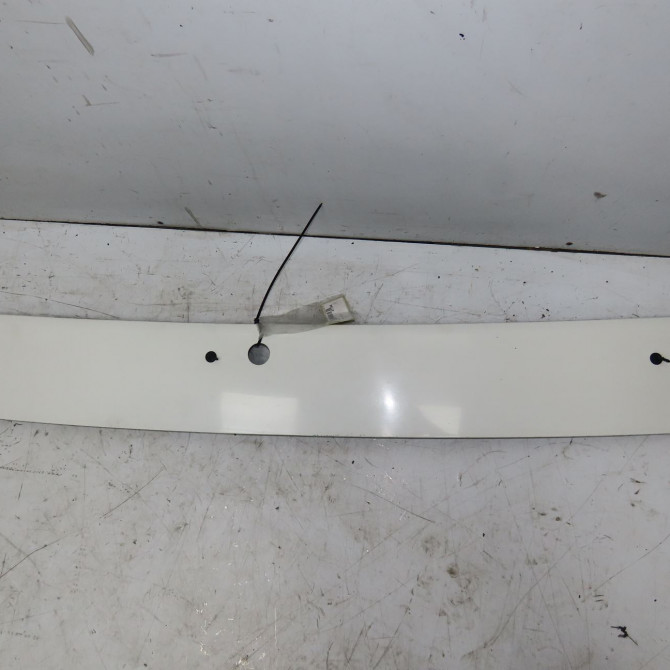 Capot occasion NISSAN CABSTAR 1