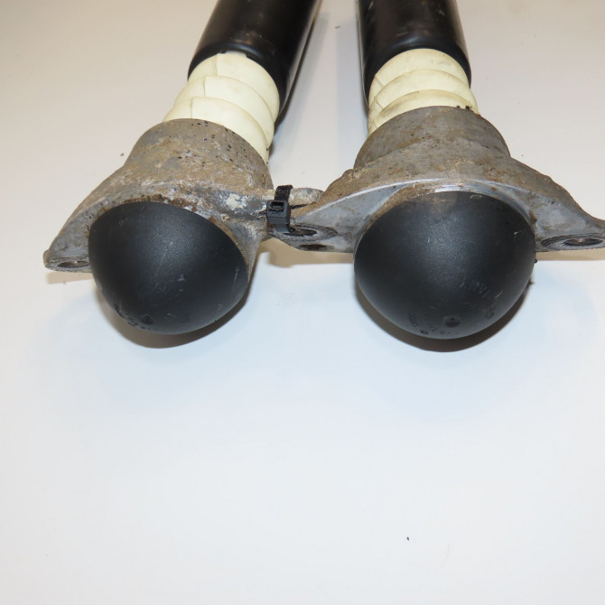 Amortisseur arrière droit occasion VOLKSWAGEN POLO V POLO V Phase 1 2009-09-01->2014-05-31 1.6 TDI 90 6R0513025 2