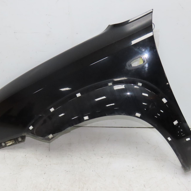 Aile avant gauche occasion HYUNDAI TUCSON I Phase 1 09-2004->10-2010 2.0 CRDI 140ch 2WD 663112E130 1