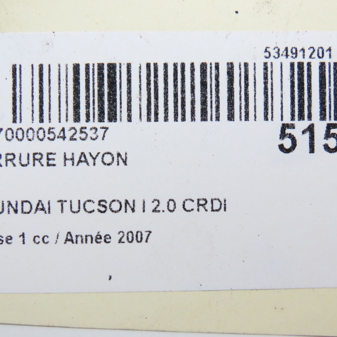 Serrure hayon occasion HYUNDAI TUCSON I Phase 1 09-2004->10-2010 2.0 CRDI 140ch 2WD 812302E010 4