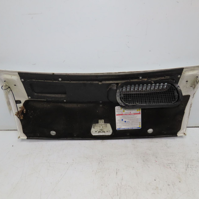 Capot occasion FIAT DUCATO III Phase 1 06-2006->10-2014 50161460 2