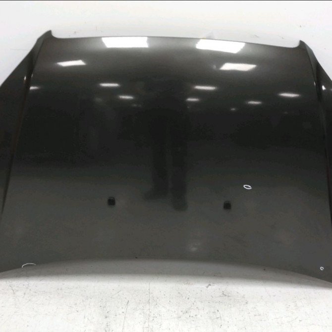 Capot occasion FIAT DOBLO I Phase 2 01-2006->12-2009 1.9 DT MULTijet 51934310 1