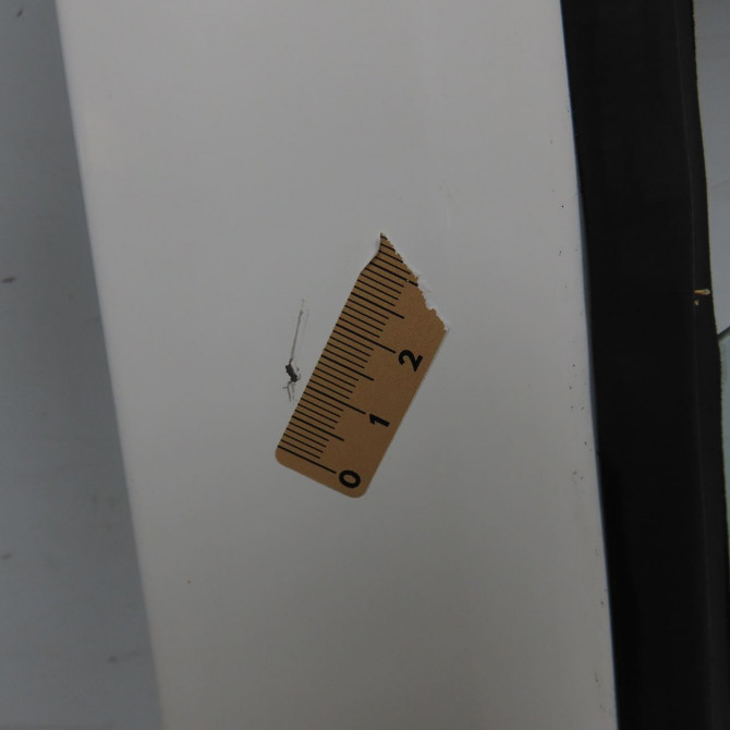 Porte avant droite occasion FIAT DOBLO I Phase 2 01-2006->12-2009 1.3 DT 75ch 51847705 2