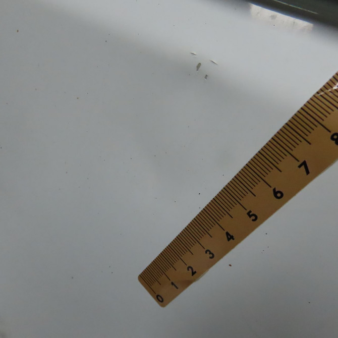 Porte battante arrière gauche occasion CITROEN JUMPER III Phase 1 06-2006->... 1617322880 3