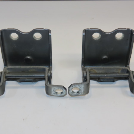 Jeu charniere hayon occasion RENAULT KOLEOS I Phase 1 06-2008->12-2011 2.0 DCI 150ch 90400JY00A