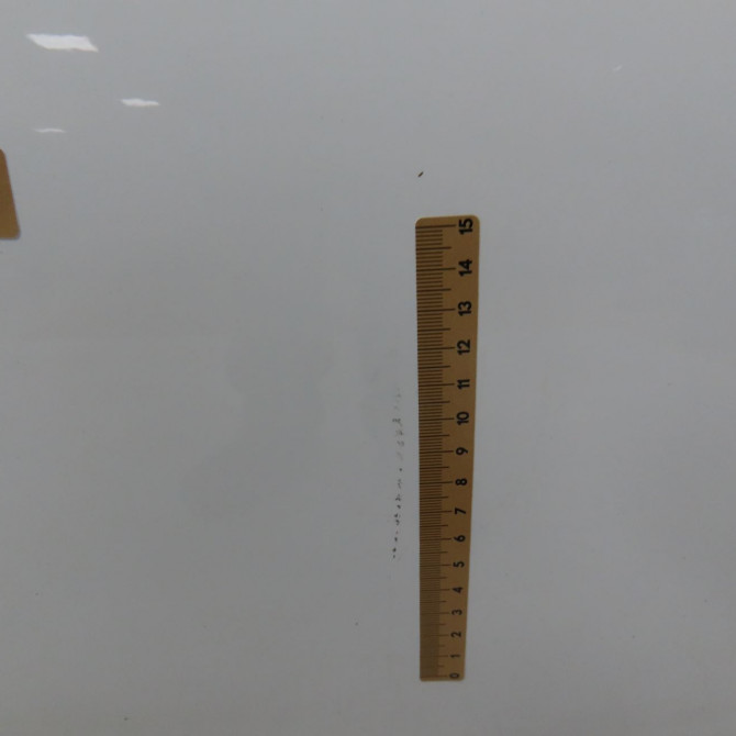 Porte avant droite occasion AUDI A3 II Phase 2 06-2008->07-2012 1.6 TDi 105ch 8P3831052D 4