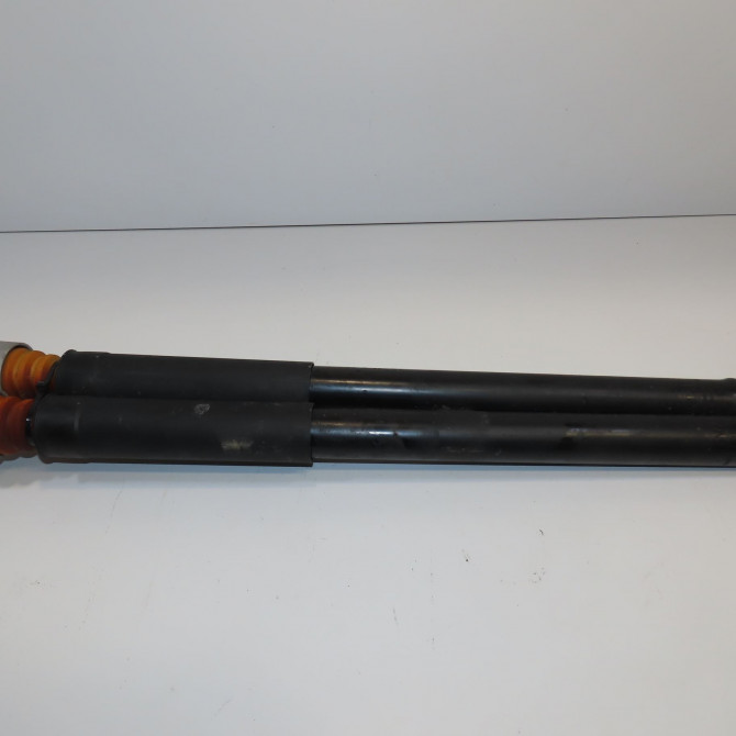 Amortisseur arrière droit occasion FORD ECOSPORT 1