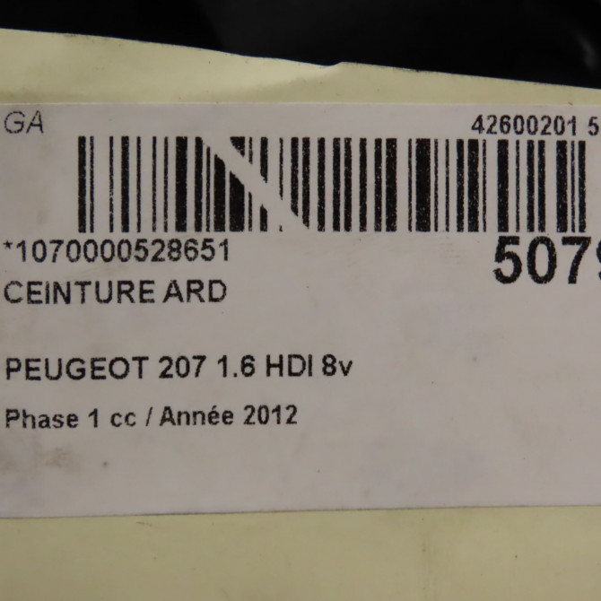 Ceinture arrière droite occasion PEUGEOT 207 Phase 1 04-2006->06-2013 1.6 HDI 8v 90ch 8975XK 3