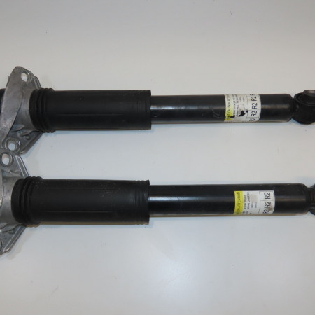 Amortisseur arrière droit occasion