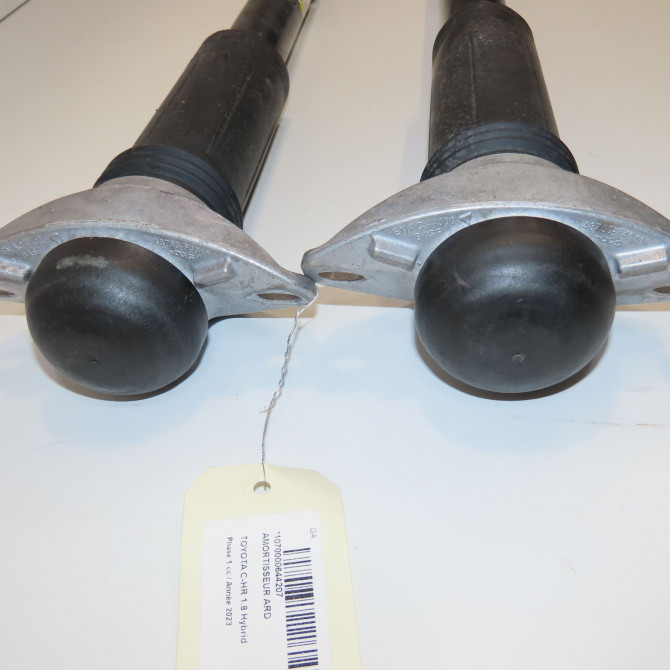 Amortisseur arrière droit occasion 2