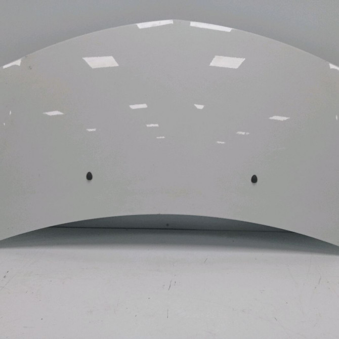 Capot occasion RENAULT CLIO III Phase 2 03-2009->12-2014 1.5 DCI 75ch 7751476113 1